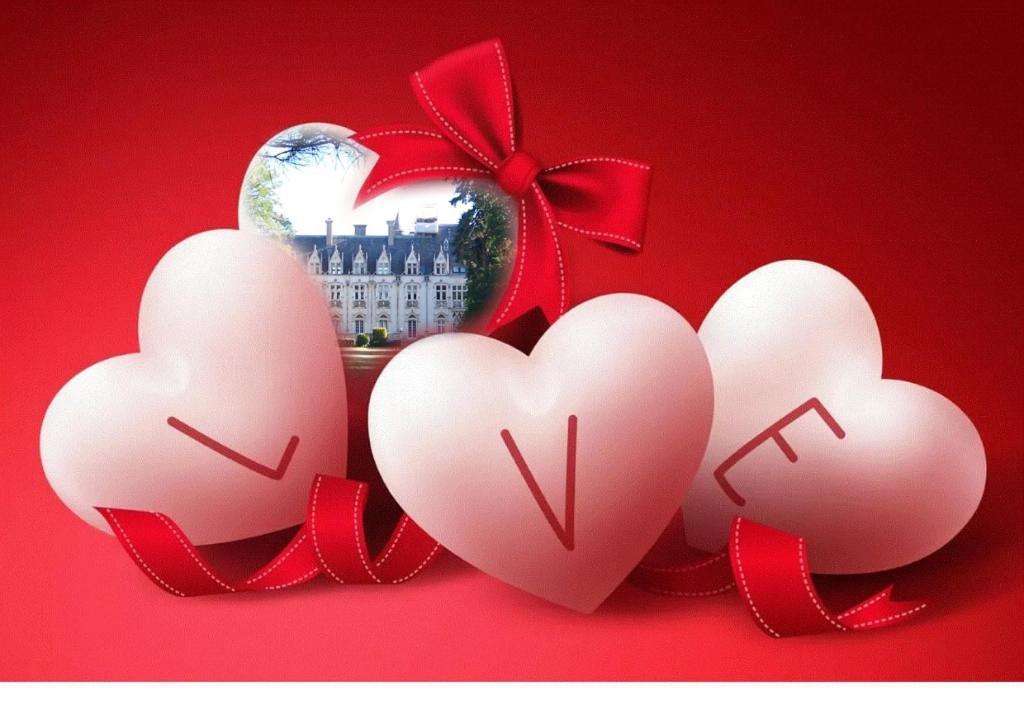 Charmant Studio Au Calme Tout Confort Dans Chateau Neo Gothique Proche Zenith Comet Orleans Parking Voiture Gratuit Wifi Haut Debit Rue Des Montees 외부 사진